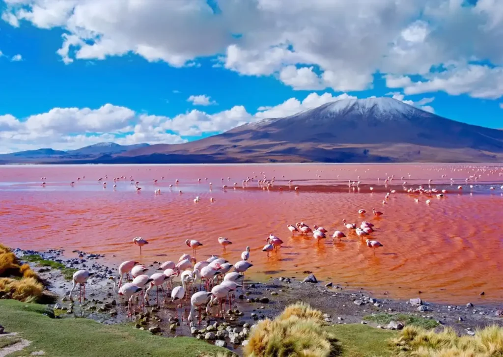 Uyuni 2